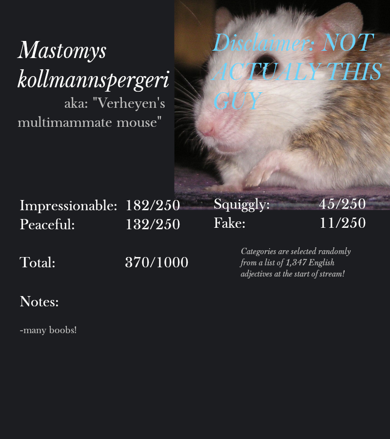 Mastomys kollmannspergeri